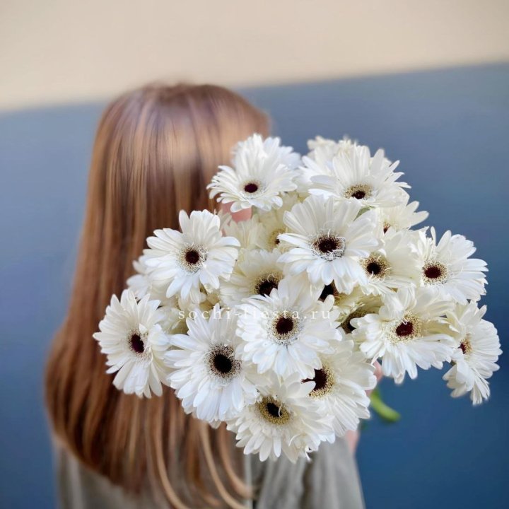 Охапка гербер в Петрозаводске