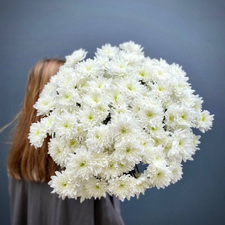 Охапка Хризантемы кустовой в Петрозаводске