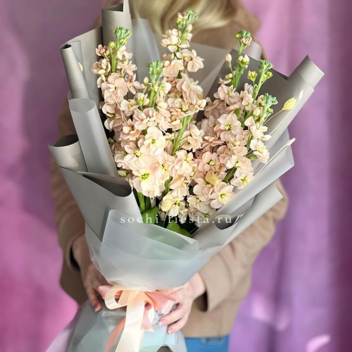 Букет ароматной маттиоллы №2 в Петрозаводске