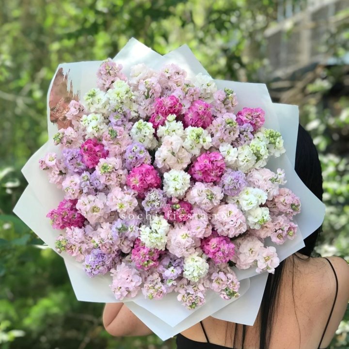 Букет ароматной маттиоллы №3 в Петрозаводске