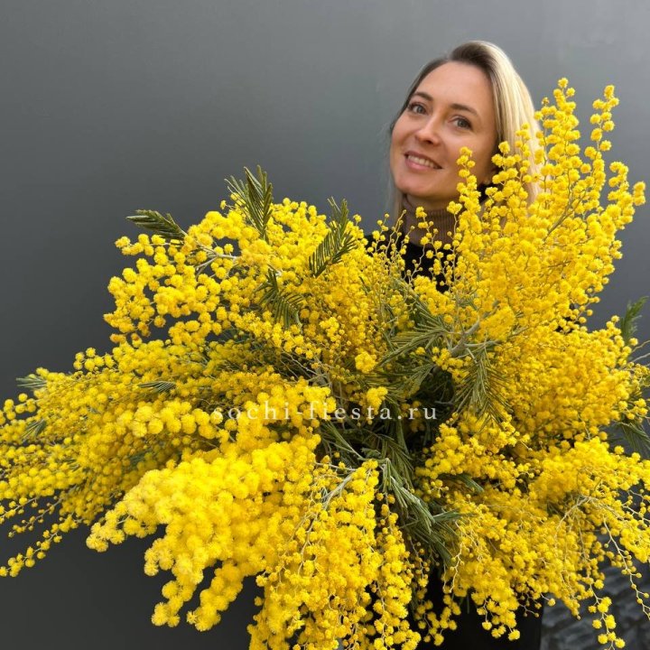 Охапка мимозы №2 в Петрозаводске