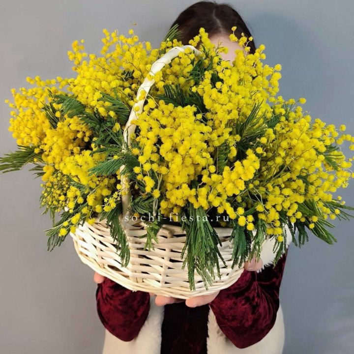 Корзина ароматной мимозы в Петрозаводске