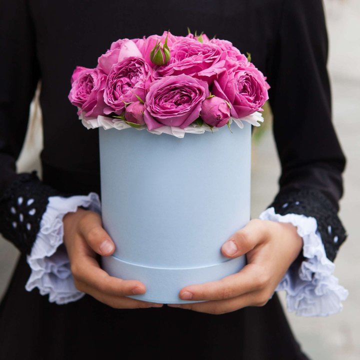 Бокс мини мисти в Петрозаводске