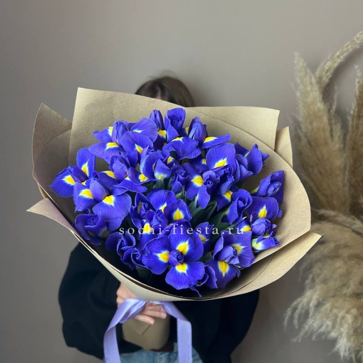 Ирисы в Петрозаводске