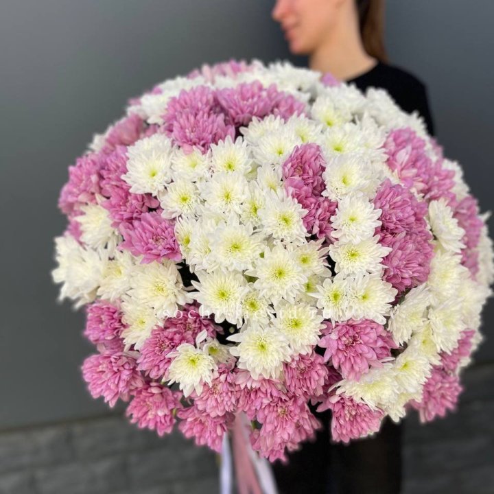  Букет 25 хризантем микс в Петрозаводске