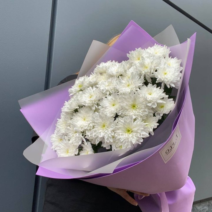  7 хризантем  в Петрозаводске