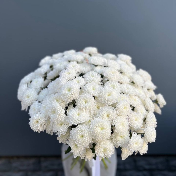  25 хризантем белых в Петрозаводске