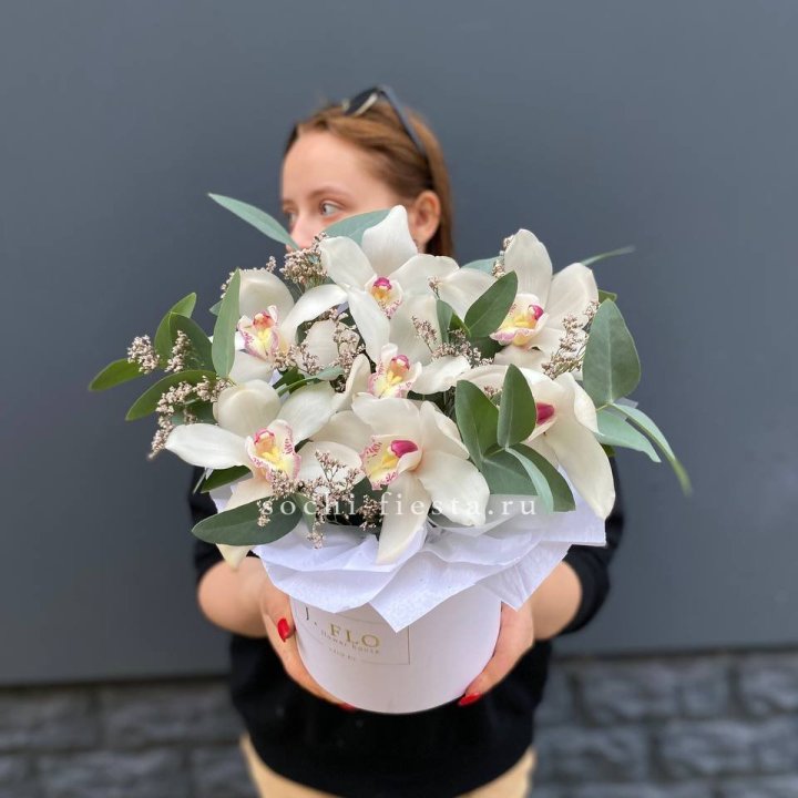 7 орхидей в боксе в Петрозаводске