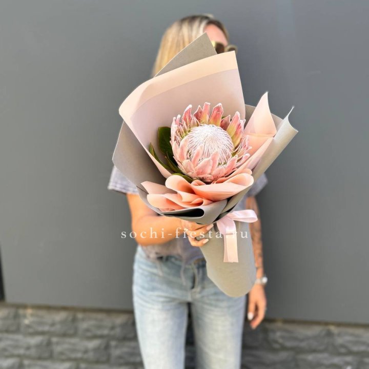 Протея мини  в Петрозаводске