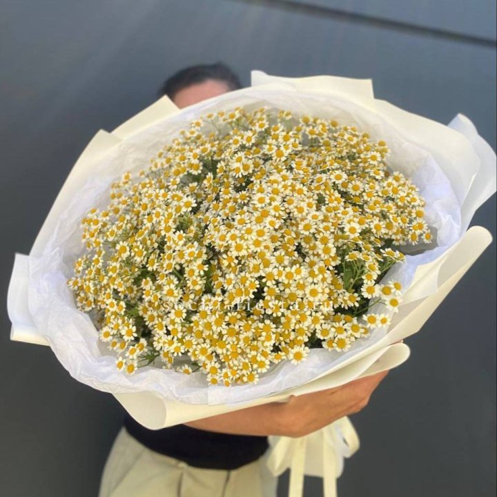 Букет ромашек №2 в Петрозаводске