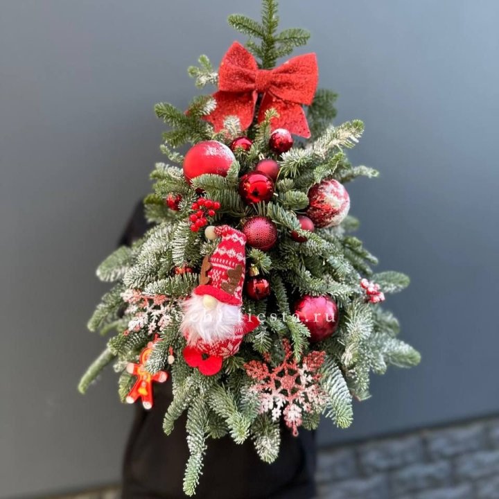 Новогодняя елочка "Ред" в Петрозаводске