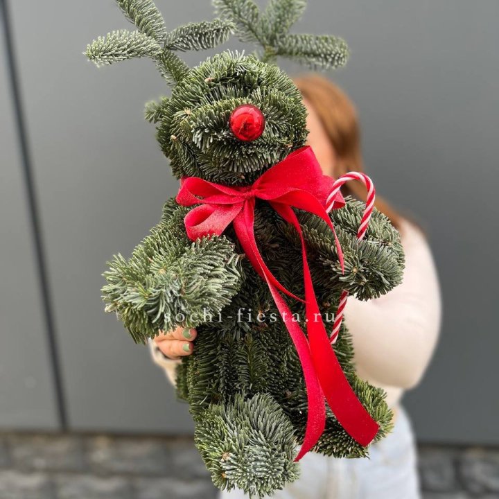 "Олень" из нобилиса в Петрозаводске