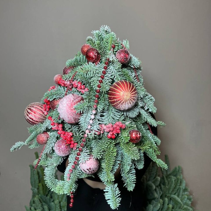 Ёлка красная в Петрозаводске