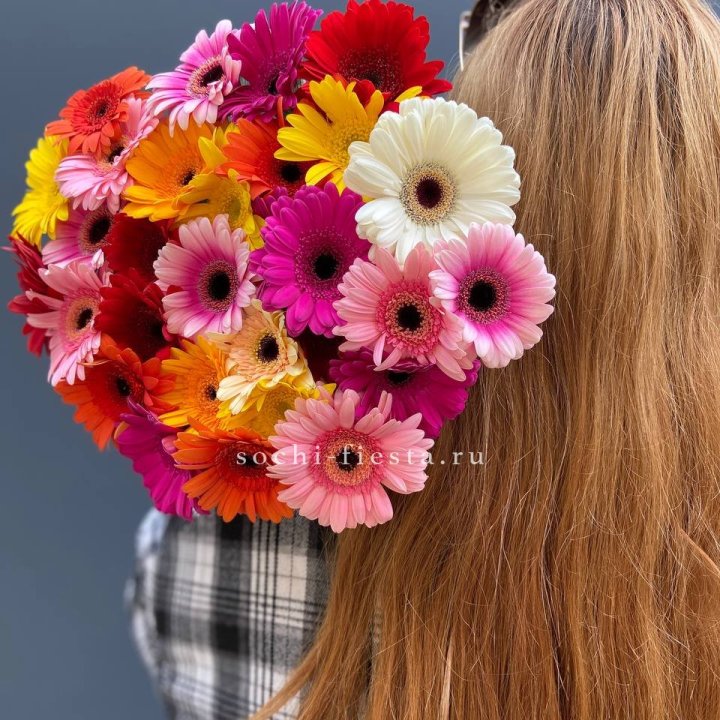 Охапка гербер  в Петрозаводске