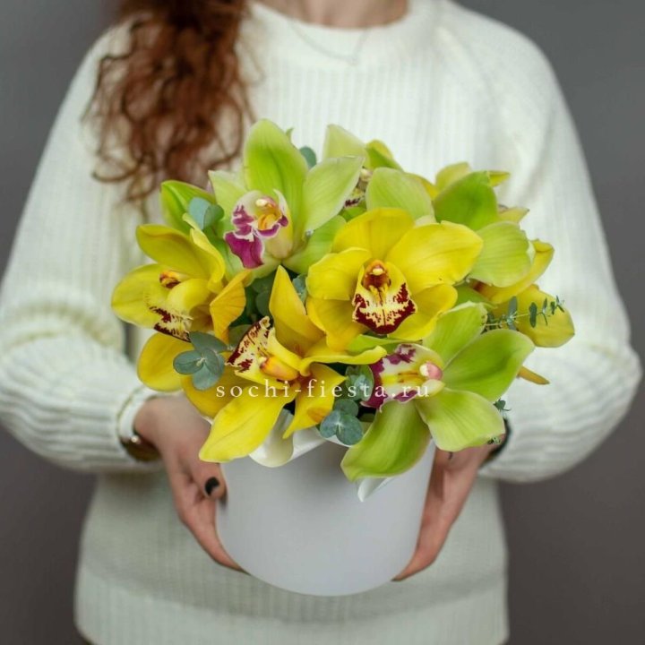 Бокс с орхидей №1 в Петрозаводске