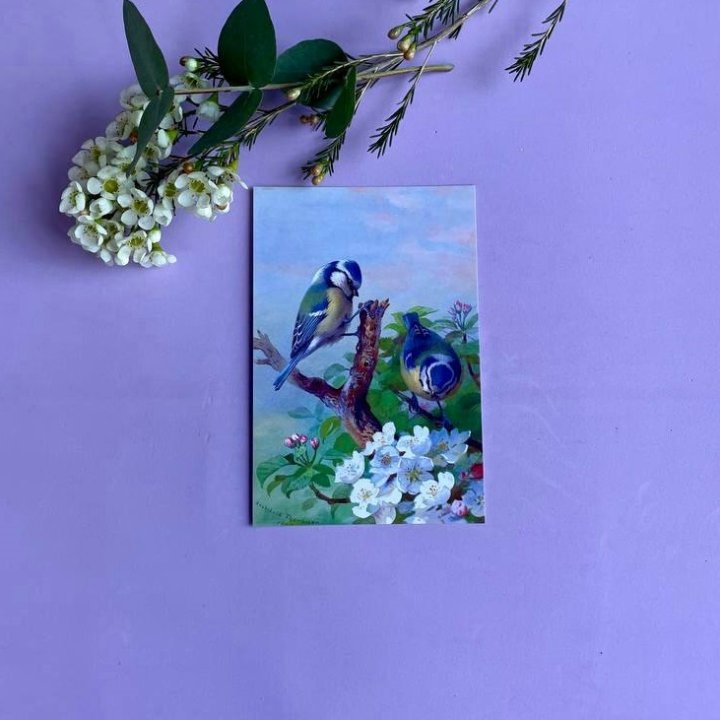 Открытка к букету "Птицы" в Петрозаводске