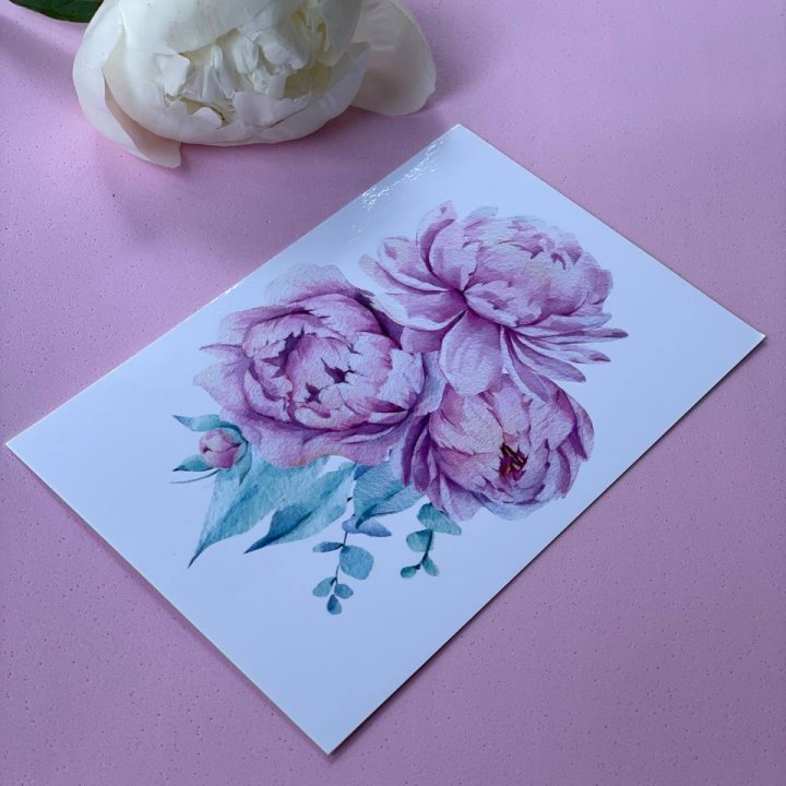 Открытка к букету "Пионы" в Петрозаводске