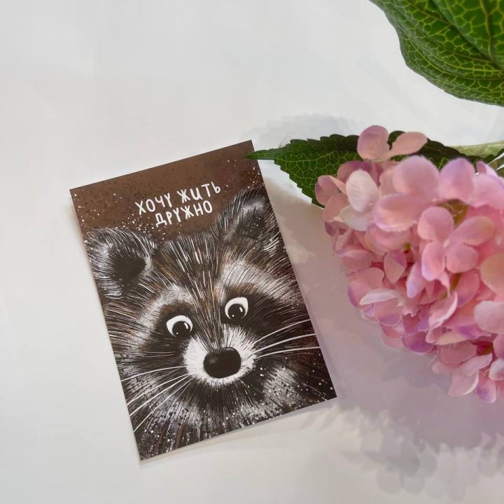 Открытка к букету "Енотик" в Петрозаводске