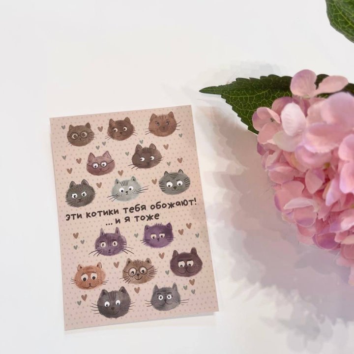 Открытка к букету "Котики" в Петрозаводске