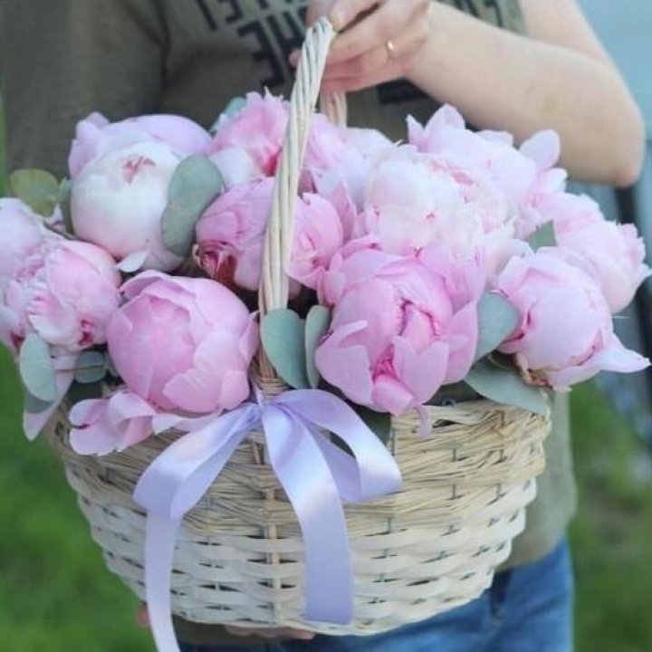 15 пионов в корзине в Петрозаводске