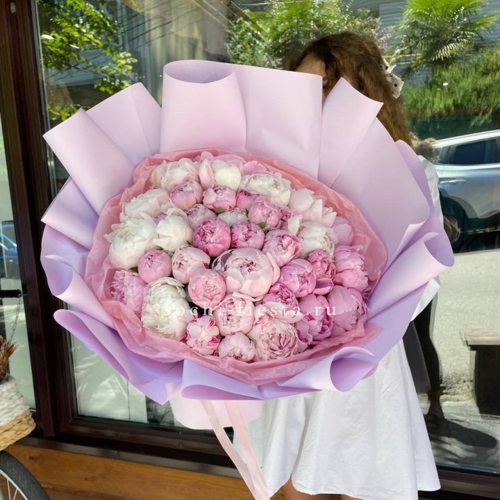 51 розовый пион в Петрозаводске