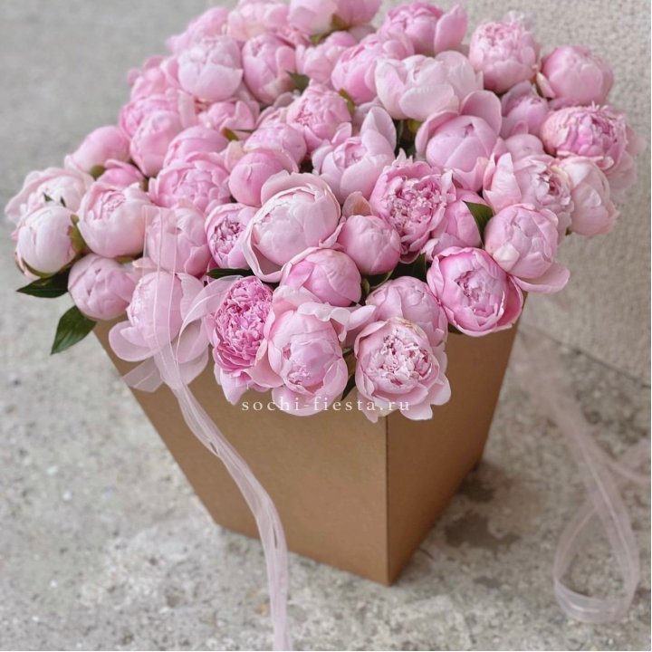 49 пионов в крафт коробке в Петрозаводске