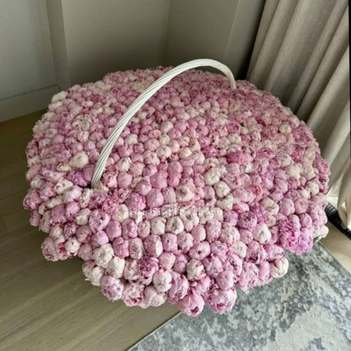 Корзина 555 пионов в Петрозаводске