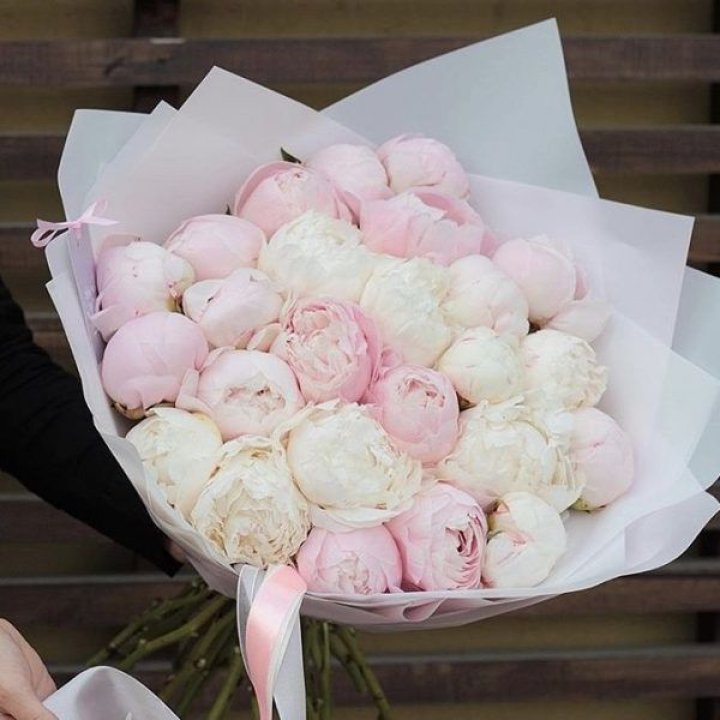 29 пионов в Петрозаводске