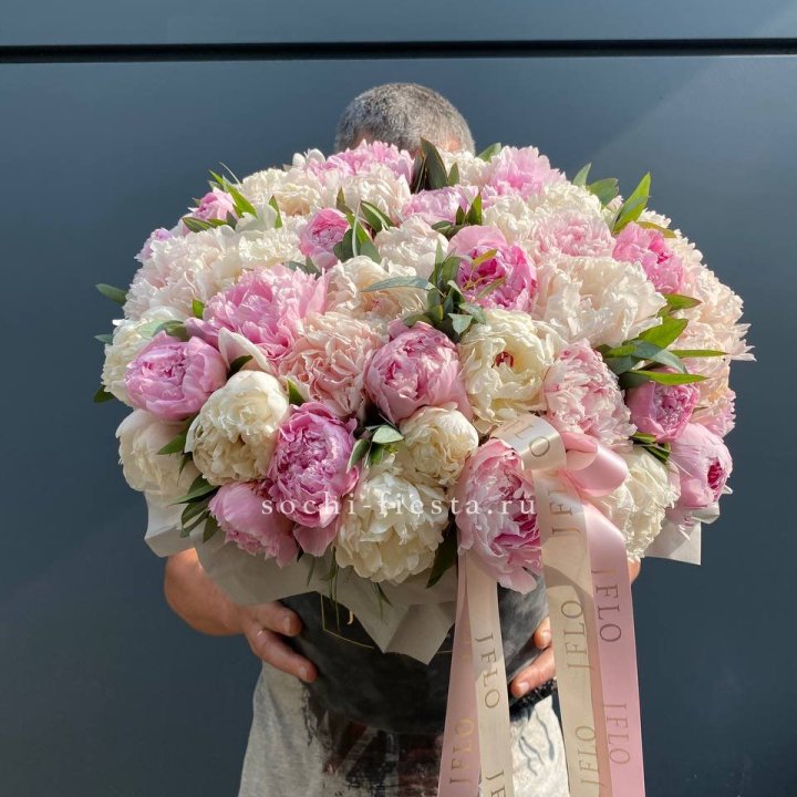 51 пионов в боксе в Петрозаводске