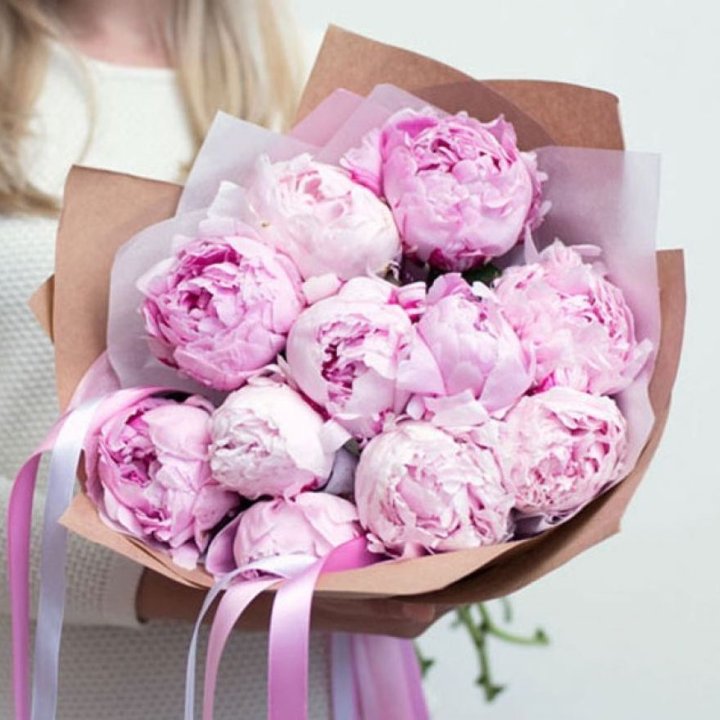 11 нежных пионов в Петрозаводске