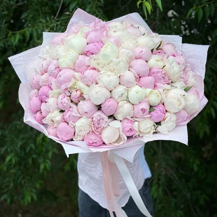 101 пион в Петрозаводске