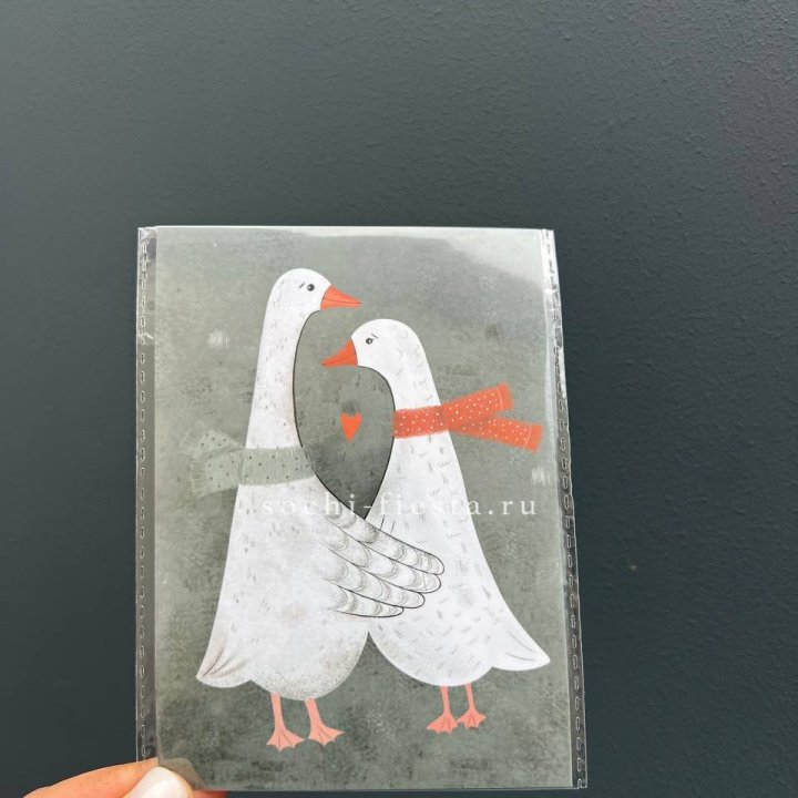 Открытка к букету "Гуси” в Петрозаводске