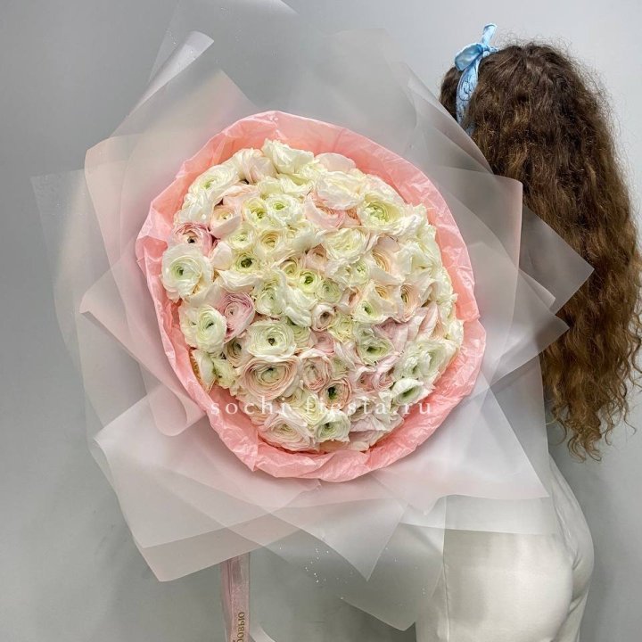 113 ранункулюсов  в Петрозаводске