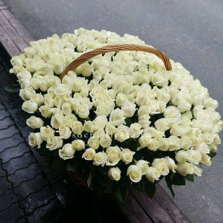 303 розы в корзине в Петрозаводске