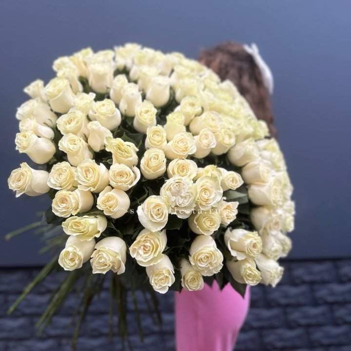 101 белая высокая импортная роза под ленту в Петрозаводске