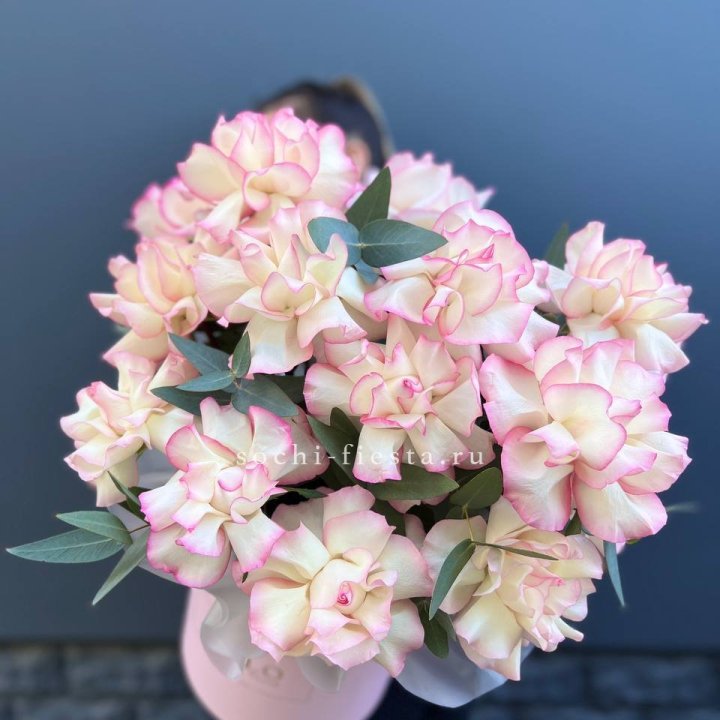 15 Французских роз Джумилия в боксе в Петрозаводске