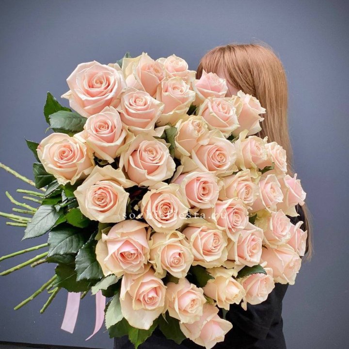 35 кремовых высоких роз в Петрозаводске