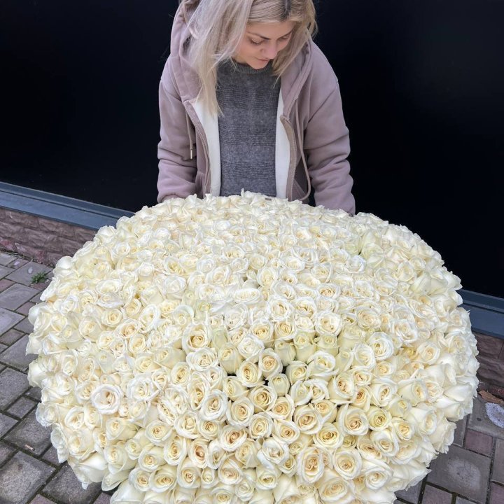 501 белая роза в корзине в Петрозаводске