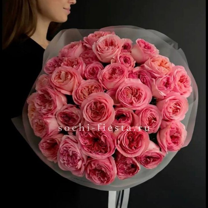 39 Пинк экспрешен  в Петрозаводске