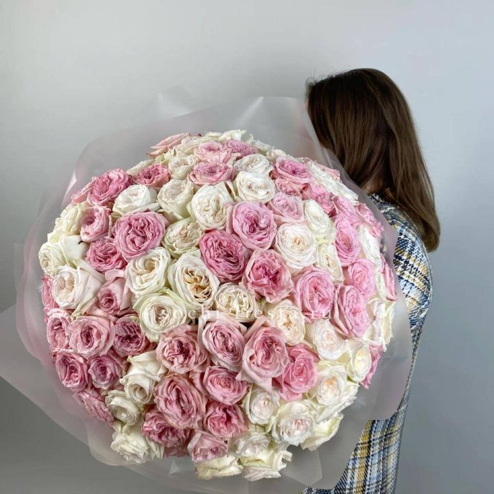 101 роз Охара в Петрозаводске