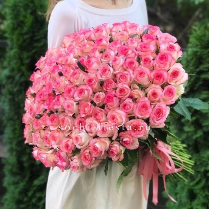 101  джумилия роза  в Петрозаводске