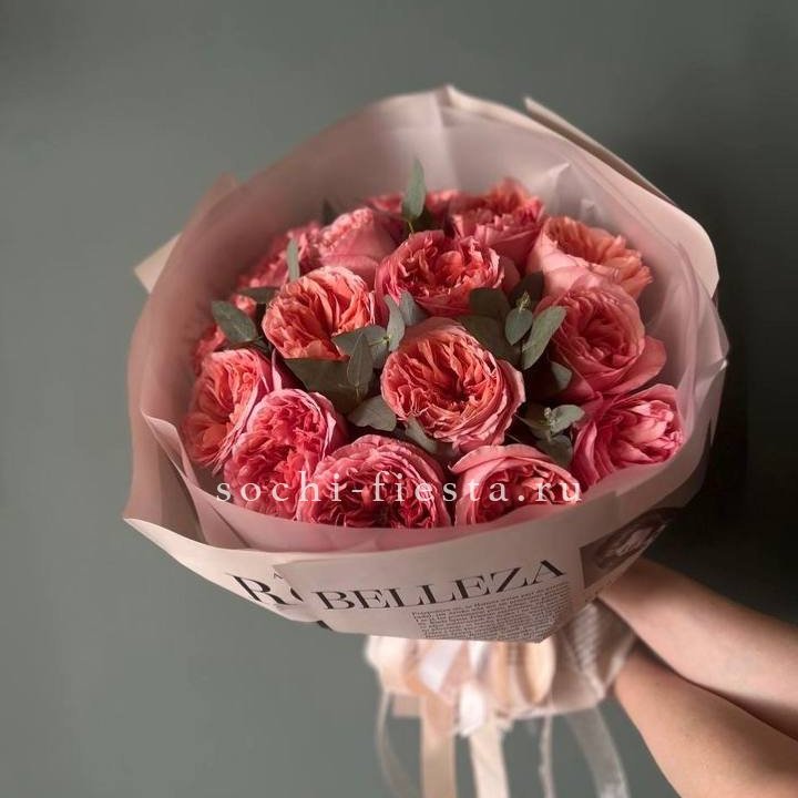 15 Пинк экспрешен в Петрозаводске