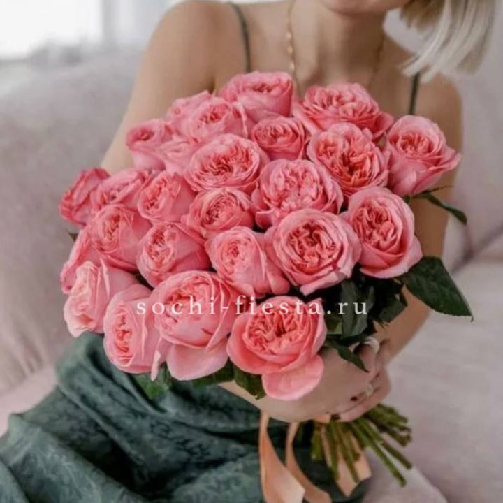 25 Пинк экспрешен  в Петрозаводске