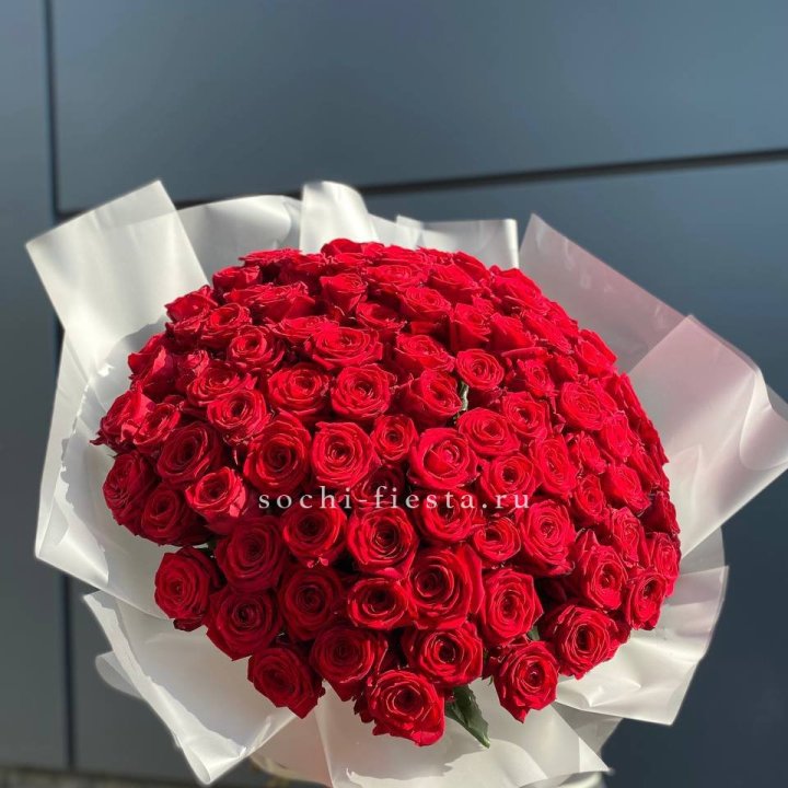 101 высокая роза в Петрозаводске