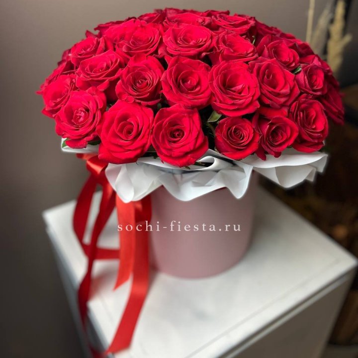 Красные розы 51шт  в коробке в Петрозаводске