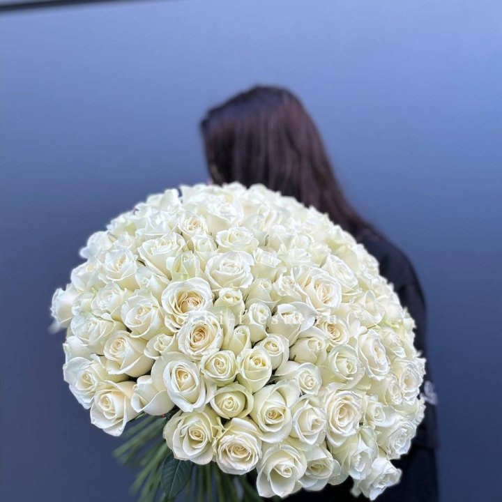 Охапка из 101 белой розы  в Петрозаводске