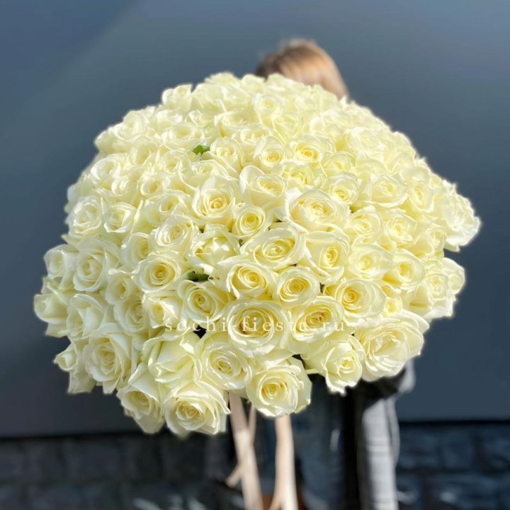 Букет  из 101 белой розы  в Петрозаводске