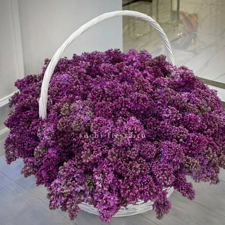 Корзина сирени в Петрозаводске