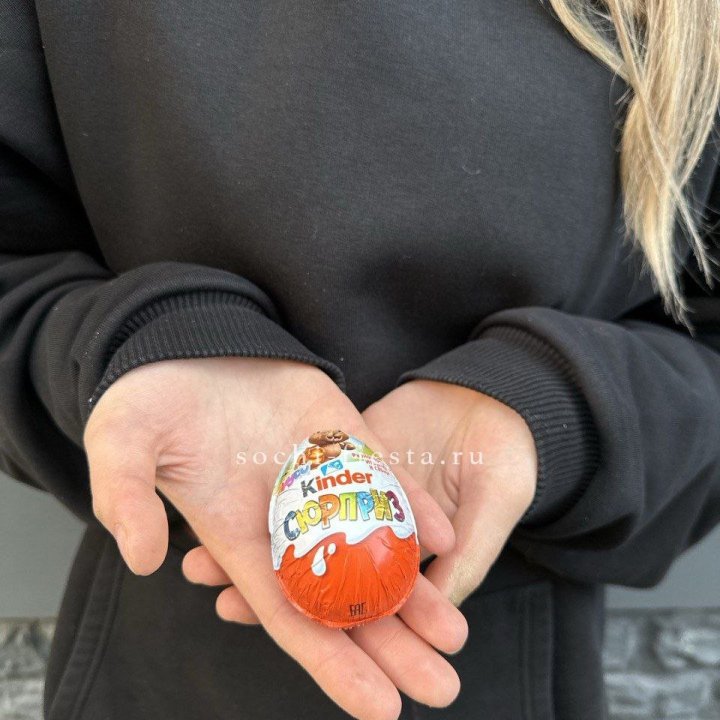 Яйцо "Киндер Сюрприз" в Петрозаводске
