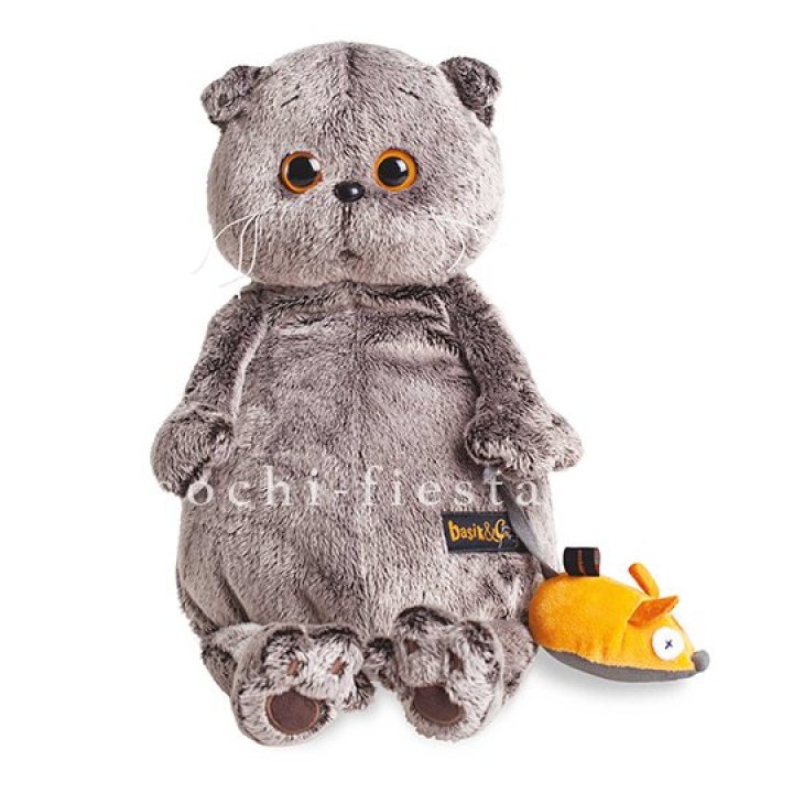 Кот Басик с мышкой в Петрозаводске